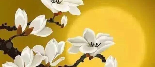 最上乘学佛一百问 66、[ 佛前是否每天都要供花？]缩略图