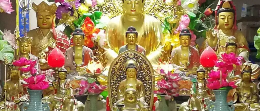 最上乘学佛一百问 65、[ 鲜花（包括野花）供佛，花蔫了怎么办？]缩略图