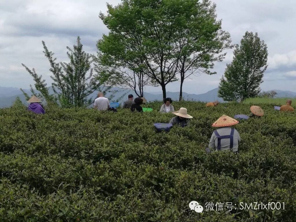 何谓真如