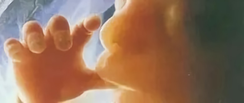 堕胎婴灵无需超度