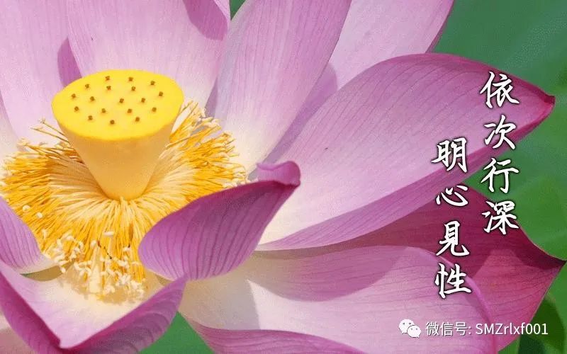 佛法真谛（ 37 ）《真如颂（之四）》释义 [ 甚深佛法 ( 102 ) ]插图3