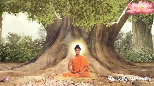 佛法真谛（ 36 ）《真如颂（之三）》释义 [ 甚深佛法 ( 101 ) ]插图13
