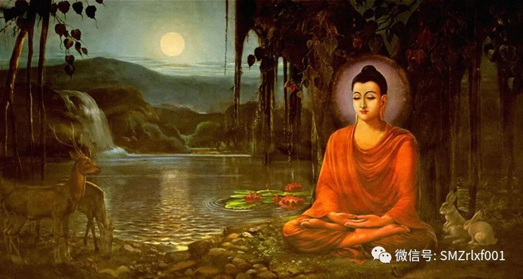 佛法真谛（40）佛为什么说 “ 优昙钵花虽萎脆，胜彼世间花 ” ？[ 甚深佛法 (107 ) ]插图10