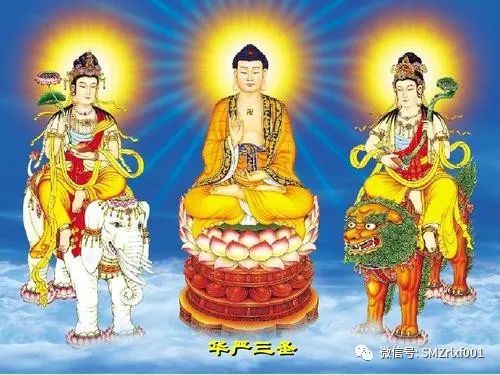 佛法真谛（39）如来心法真实义 [ 甚深佛法（108）]插图4
