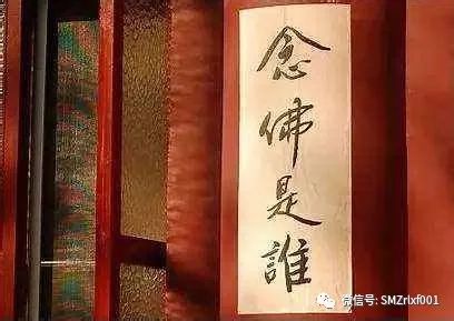 “ 参话头 ” 与 “ 看话头 ” 的辨析 [ 甚深佛法 (106 ) ]插图10