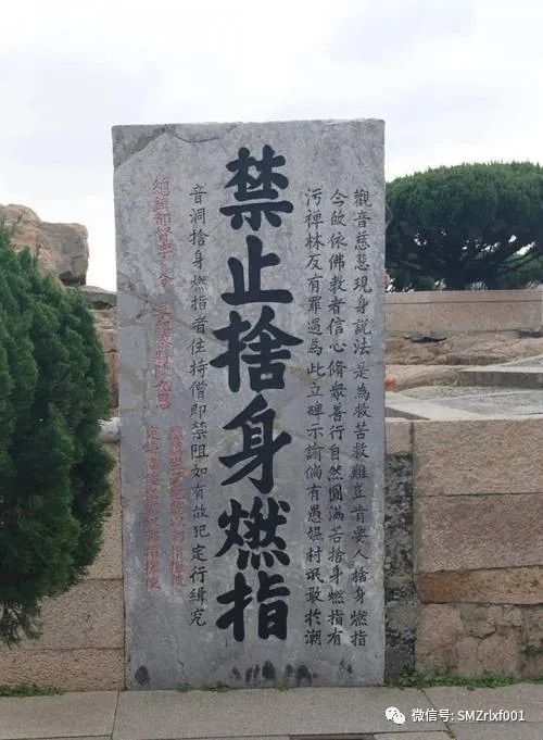 佛法真谛（ 三十 ）如何识别伪经 [ 甚深佛法（95）]插图7