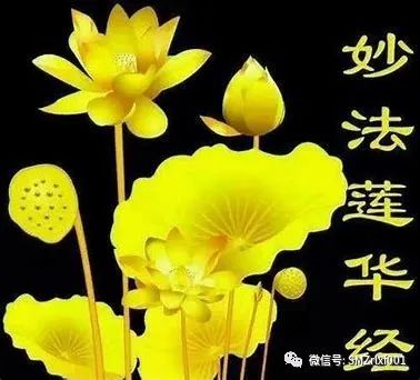 佛法真谛（43）​开、示、悟、入是佛法心髓 [ 甚深佛法（111）]插图11