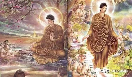 佛法真谛（45）尽管佛是良医，救也不了他的儿子，为什么？[ 甚深佛法（113）]插图2