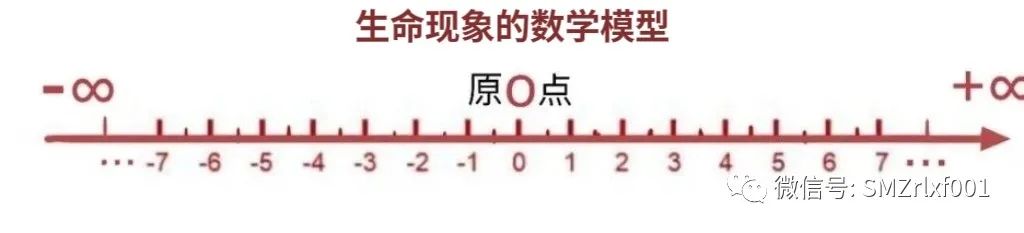 佛法真谛（46）多宝塔里为什么坐了两尊佛？[甚深佛法（114）]插图17