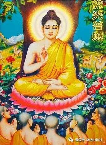 佛法真谛（48）何为妙法 ？[ 甚深佛法（116）]插图9