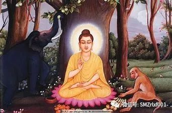 佛法真谛（48）何为妙法 ？[ 甚深佛法（116）]插图12
