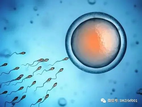 佛法真谛（54）学习《圆觉经》[ 之三 ] 普眼菩萨品 [ 甚深佛法 (122) ]插图11