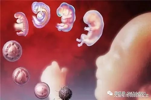 佛法真谛（54）学习《圆觉经》[ 之三 ] 普眼菩萨品 [ 甚深佛法 (122) ]插图10