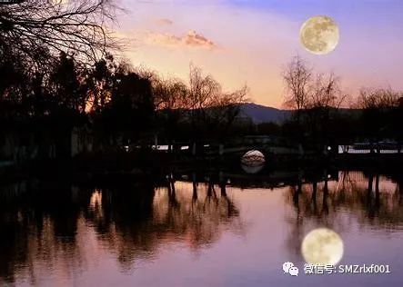 佛法真谛（55）学习《圆觉经》[ 之四 ] 金刚藏菩萨品 ​[ 甚深佛法 (123) ]插图8
