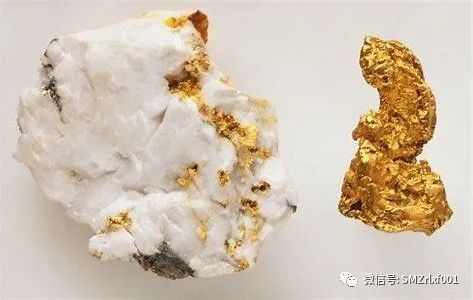 佛法真谛（55）学习《圆觉经》[ 之四 ] 金刚藏菩萨品 ​[ 甚深佛法 (123) ]插图11