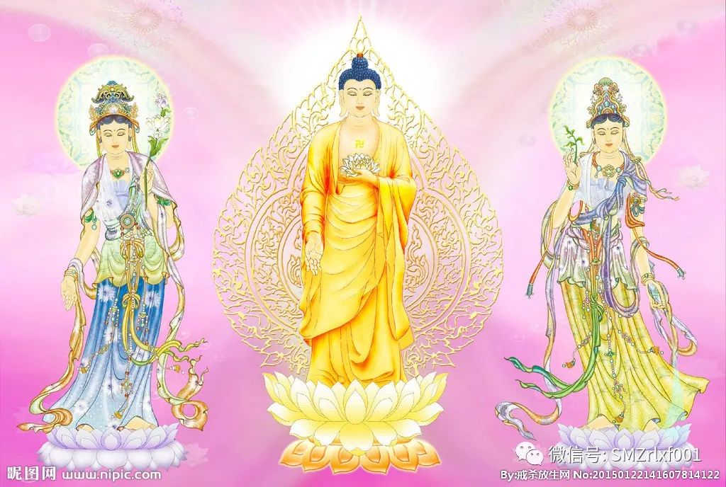 ​佛法真谛（64）学习《圆觉经》有感——对生命的认识 [ 甚深佛法 (132) ]插图7