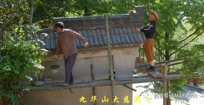 心在哪里 ？（ 之三 ） [ 甚深佛法（15）]插图9