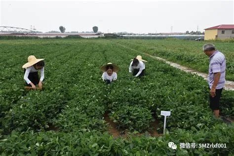 佛法真谛（74）佛法的魅力 [甚深佛法 (142)]插图3