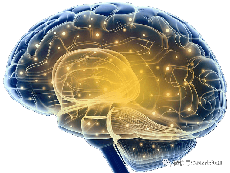 佛法真谛（79）妄心在哪里 ？[ 甚深佛法 (147) ]插图1