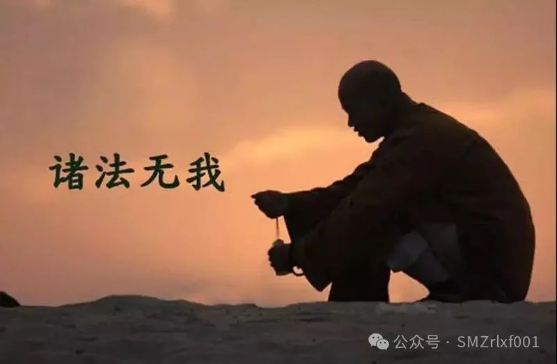 佛法真谛（ 84 ）诸法无我，怎解 ？ [ 甚深佛法 ( 152 ) ]插图1