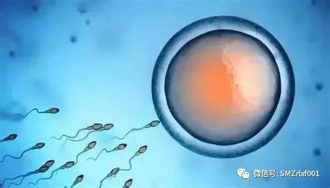 念佛是得人身的秘诀插图3