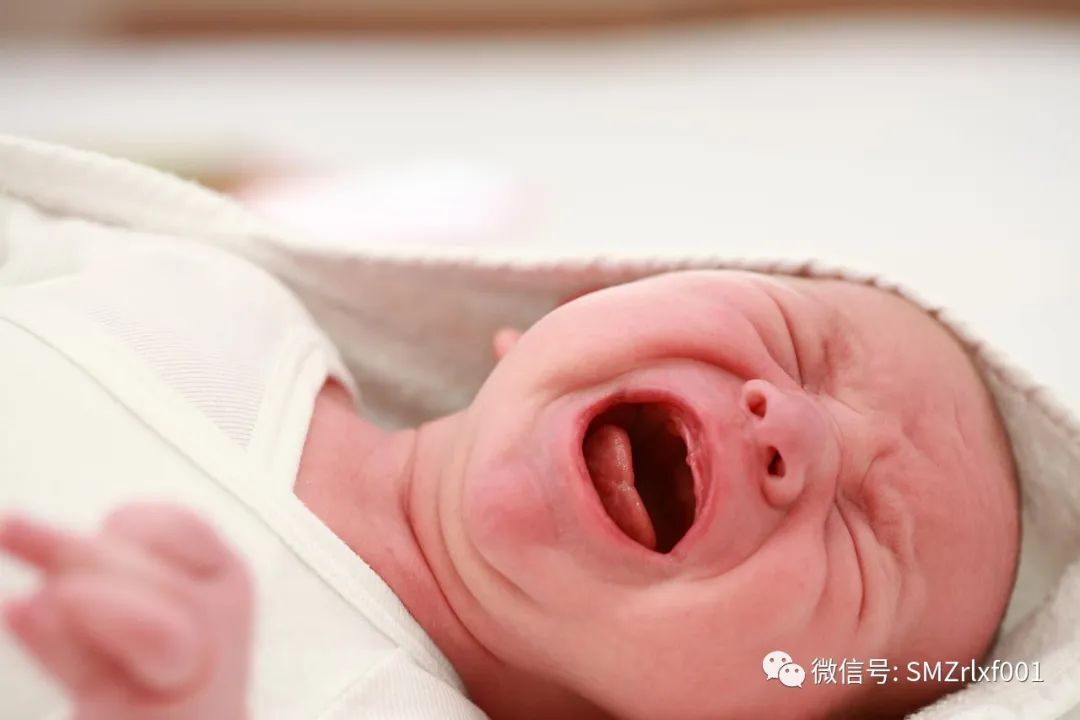 念佛是得人身的秘诀插图7 念佛是得人身的秘诀插图7