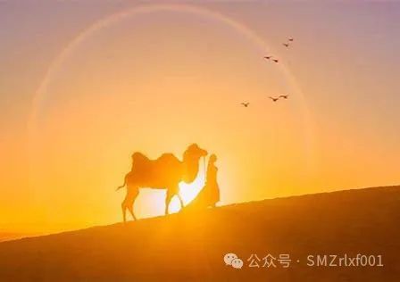 [ 佛法真谛（82）] 详解 “ 我有正法眼藏 ” [ 甚深佛法（150）]插图8