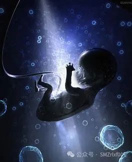 [ 佛法真谛（83）] 离开肉身，无处极乐！[ 甚深佛法（151）]插图4