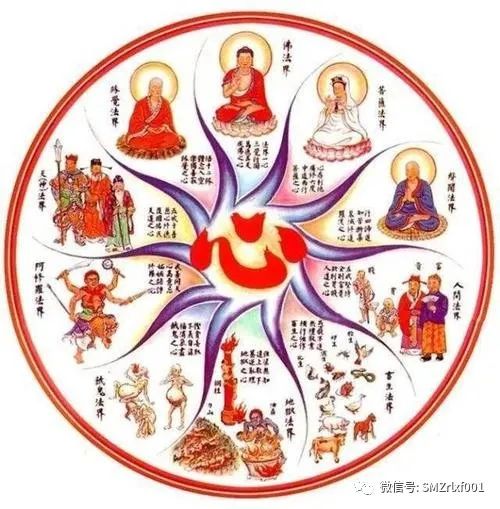 佛法真谛（81）十八界是伴随你生命的内涵 [ 甚深佛法 (149) ]插图