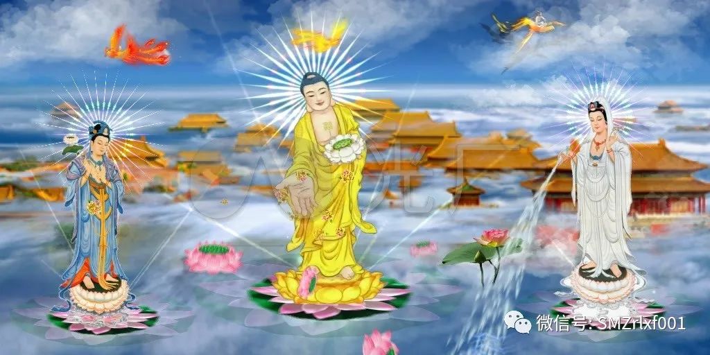 念佛是得人身的秘诀插图6 念佛是得人身的秘诀插图6