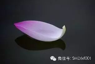 是善导创造了 ‘ 净土宗 ’……插图