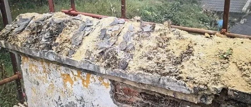 ​佛法真谛（ 98 ）人心险恶！为什么？[ 甚深佛法 (166 ) ]