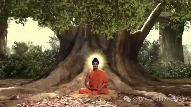 佛法真谛（ 101 ）妄想与执着为什么不能成佛 [ 甚深佛法 (169) ]插图1
