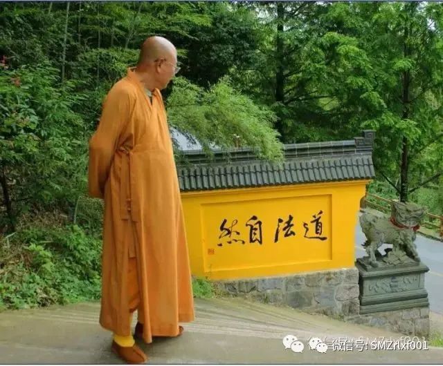 佛法真谛（ 97 ）智慧——是本性之光！是人和人之间的差别  [ 甚深佛法 ( 165 ) ]插图3