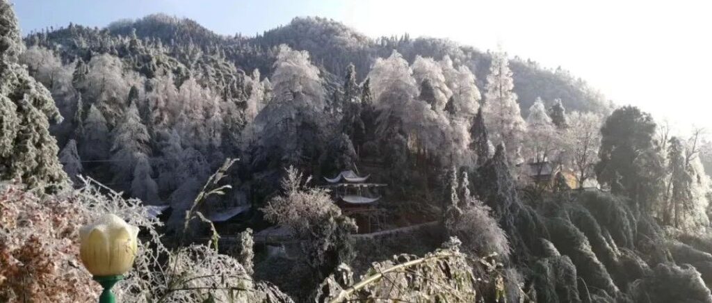 玉龙台