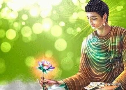 禅定插图3