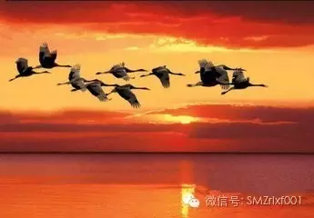 净土原来空世界插图2 净土原来空世界插图2