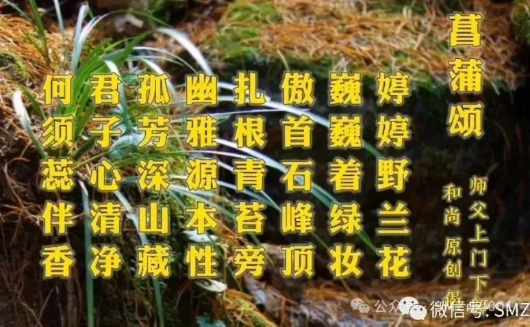 菖蒲颂插图4 菖蒲颂插图4