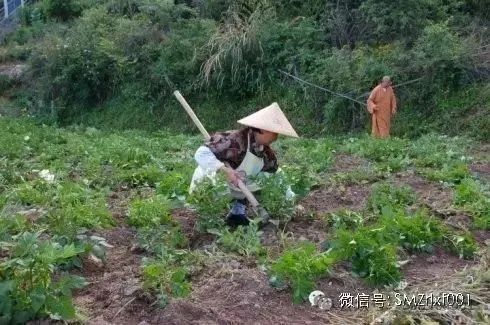 我说修行修自己插图