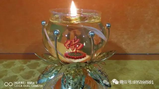 佛灯的秘密插图