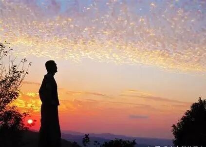 清净无为 的图像结果