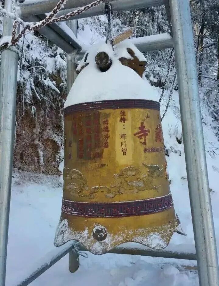 出家为证道插图3