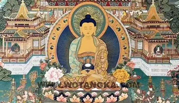 佛法在哪里插图