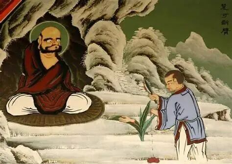 心和性的关系插图
